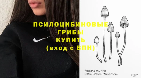 Альфа ПВП Алексеевка