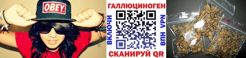сколько стоит  mega ССЫЛКА  Псилоцибиновые грибы прущие грибы  Иркутск 